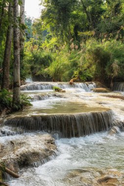 Çeşitli turkuaz renkli su birikintileri ve şelaleler yemyeşil ormanlarla çevrili. Luang Prabang, Laos 'taki Kuang Si Şelalelerinde çekildi.