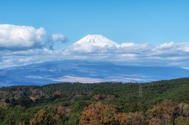 Mishima Skywalk asma köprüsünden alınan Fuji Dağı manzarası. Sonbahar yaprakları mevsiminde çekilmiş. Mishima, Shizuoka, Japonya 'nın ünlü turistik merkezi.