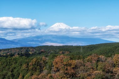 View of Mt Fuji taken from Mishima Skywalk suspension bridge. Taken during autumn fall foliage season. Famous tourist attraction in Mishima, Shizuoka, Japan clipart