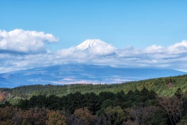 Mishima Skywalk asma köprüsünden alınan Fuji Dağı manzarası. Sonbahar yaprakları mevsiminde çekilmiş. Mishima, Shizuoka, Japonya 'nın ünlü turistik merkezi.