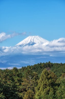 View of Mt Fuji taken from Mishima Skywalk suspension bridge. Taken during autumn fall foliage season. Famous tourist attraction in Mishima, Shizuoka, Japan clipart