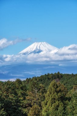 Mishima Skywalk asma köprüsünden alınan Fuji Dağı manzarası. Sonbahar yaprakları mevsiminde çekilmiş. Mishima, Shizuoka, Japonya 'nın ünlü turistik merkezi.