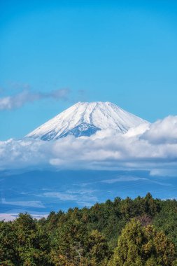 Mishima Skywalk asma köprüsünden alınan Fuji Dağı manzarası. Sonbahar yaprakları mevsiminde çekilmiş. Mishima, Shizuoka, Japonya 'nın ünlü turistik merkezi.