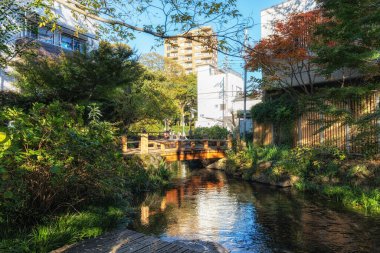 Mishima Genbei, sonbahar yeşillik mevsiminde çekilen küçük taş basamaklı yürüyüş sahnesi. Mishima, Shizuoka, Japonya 'nın ünlü turistik merkezi.