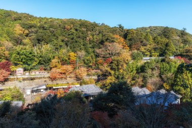 Sonbahar yeşillikleri Izu Dağı ve tepelerini kaplıyor. Enarby 'nin bakış açısından çekilmiş. Izu, Shizuoka, Japonya