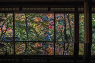 Arashiyama Yusai Tei Galerisi Sonbahar Sonbahar Yaprak Yansıması Görünümü. Arashiyama, Kyoto, Japonya 'da sonbahar renkleri için ünlü seyahat yeri