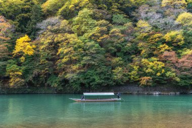 Katsura Nehri tekne gezisi sonbahar yaprakları mevsiminde yapıldı. Kayıkçılar direksiyon için uzun bambu çubukları kullanır. Arashiyama, Kyoto, Japonya 'da çekildi.