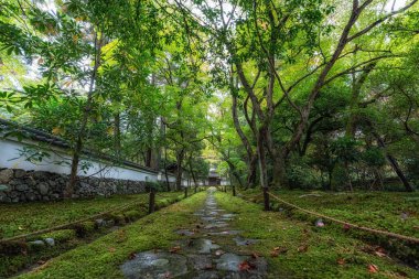 Saihoji Kokedera Tapınağı 'nda yosunlarla çevrili küçük bir yol. Japonya 'nın Kyoto kentindeki ünlü UNESCO binası