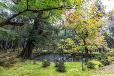 Saihoji Kokedera Tapınağı yosun bahçesi ve sonbahar yaprakları manzarası. Japonya 'nın Kyoto kentindeki ünlü UNESCO binası