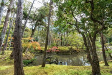 Saihoji Kokedera Temple moss garden and surrounding autumn foliage view. Famous UNESCO building in Kyoto, Japan clipart