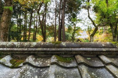 Saihoji Kokedera Temple moss garden and surrounding autumn foliage view. Famous UNESCO building in Kyoto, Japan clipart