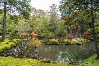 Saihoji Kokedera Temple moss garden and surrounding autumn foliage view. Famous UNESCO building in Kyoto, Japan clipart