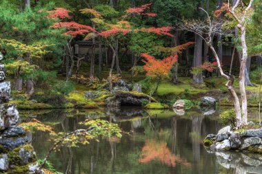 Saihoji Kokedera Tapınağı yosun bahçesi ve sonbahar yaprakları manzarası. Japonya 'nın Kyoto kentindeki ünlü UNESCO binası