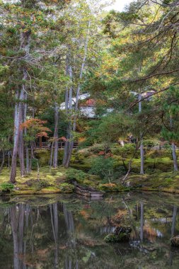 Saihoji Kokedera Tapınağı yosun bahçesi ve sonbahar yaprakları manzarası. Japonya 'nın Kyoto kentindeki ünlü UNESCO binası