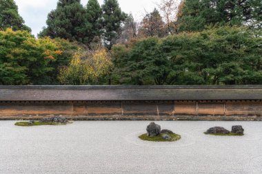 Zen rock garden in Ryoanji temple taken during autumn foliage season. Famous Temple in Kyoto, Japan clipart