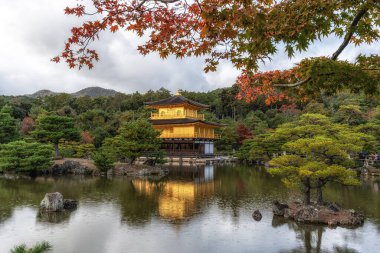 Kinkakuji altın pavyonu, sonbahar mevsiminde küçük bir yağmur sırasında çekilen küçük bir gölet üzerinde. Japonya 'nın Kyoto kentindeki ünlü tarihi tapınak.