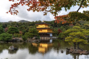 Kinkakuji altın pavyonu, sonbahar mevsiminde küçük bir yağmur sırasında çekilen küçük bir gölet üzerinde. Japonya 'nın Kyoto kentindeki ünlü tarihi tapınak.