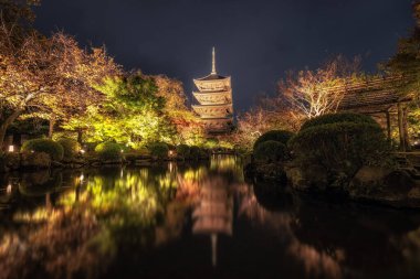 Toji tapınağı gojunoto pagoda ya da sonbahar sezonunda gece çekilen beş katlı pagoda. Kyoto, Japonya 'daki ünlü tapınak tapınağı.