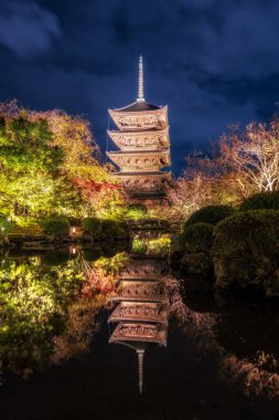 Toji tapınağı gojunoto pagoda ya da sonbahar sezonunda gece çekilen beş katlı pagoda. Kyoto, Japonya 'daki ünlü tapınak tapınağı.