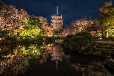 Toji tapınağı gojunoto pagoda ya da sonbahar sezonunda gece çekilen beş katlı pagoda. Kyoto, Japonya 'daki ünlü tapınak tapınağı.