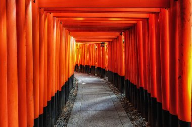 Fushimi Inari Tapınağı 'nın ünlü bin Torii Gates' i sonbahar sezonunda çekildi. Kyoto, Japonya 'nın ünlü simgesi.