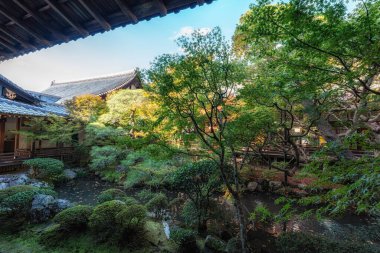 Eikando tapınağı ya da Zenriji tapınağı sonbahar yaprakları mevsiminde çekildi. Japonya, Kyoto 'daki ünlü Budist tapınağı.