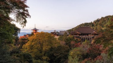 Kiyomizudera Hondo main hall taken during sunset hours during autumn fall foliage season. Famous iconic landmark in Kyoto, Japan clipart