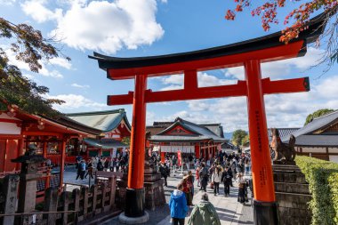 Kalabalık Fushimi Inari Taisha Tapınağı 'nda toplandı. 19 Kasım 2024 'te çekildi.