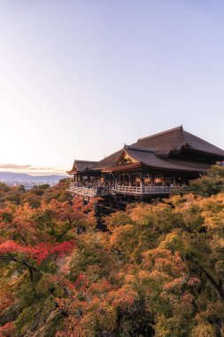 Sonbahar mevsiminde Kiyomizudera tapınağının günbatımı manzarası. Kyoto Japonya 'nın ünlü simgesi 19 Kasım 2024' te çekilmiştir.