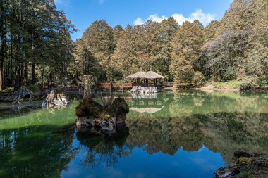 Alishan Ulusal Parkı 'ndaki göletler uzun selvi ağaçlarıyla çevrili. Tayvan 'daki ünlü seyahat yeri.