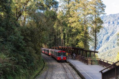 Alishan Ormanı Demiryolu Tayvan 'daki Alishan Ulusal Parkı' ndaki ünlü turistik mekan. 10 Şubat 2025 'te çekildi.