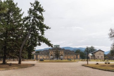 Nara geyikleri Japonya, Nara 'daki Nara Ulusal Müzesi' nin önünde dolaşıyorlar.