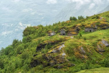 Geiranger saeter çiftlik evleri, 63. güzergah boyunca yemyeşil çayırlar ve bir dereyle çevrili. Norveç 'te çekildi