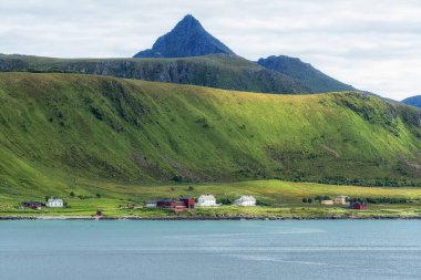 Lofoten adaları kıyı dağı manzaralı. Norveç 'te çekildi