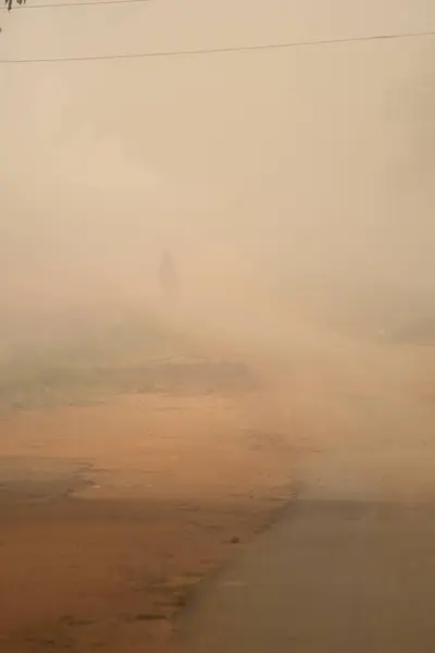 Örümcek ağında çiy damlası, örümcek ağında su damlası,