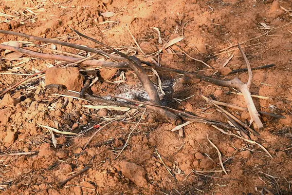 Külleri, yanmış çubukları ve kuru, kumlu bir açık havada yanmış dünyayı içeren küçük bir kamp ateşinin yakın görüntüsü.