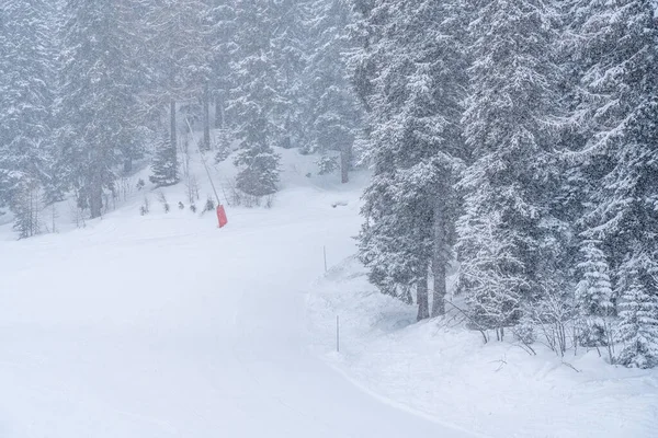 Vintersnöstorm Skidort Grå Och Mulen Dag Med Snötäckta Träd Högkvalitativt — Stockfoto