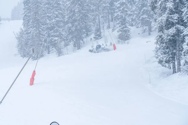 Wintersneeuwstorm Een Skigebied Grijs Bewolkt Dag Met Een Besneeuwde Bomen — Stockfoto