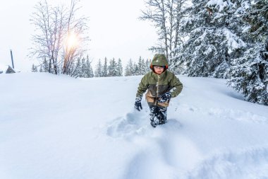 Karda oynayan bir çocuk. Orman. Karla kaplı firavun ağaçları. Kış tatili konsepti. Özel filtre, seçici odaklanma. Yüksek kalite fotoğraf