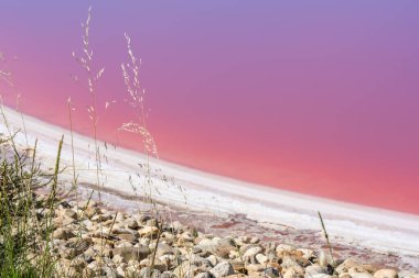 Kurumuş kristalize tuzlu sahilli mineral gölünde pembe tuzlu su. Aigues Mortes, Salt Lakes, Fransa. Kaliteli fotoğraf 
