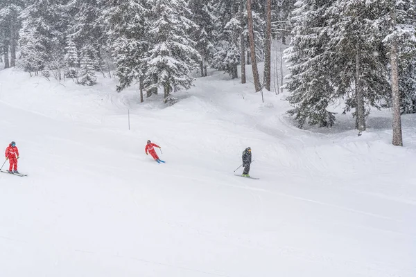 Skiinstructeur Met Skiërs Het Franse Skigebied Berg Skiën Zware Sneeuw — Stockfoto