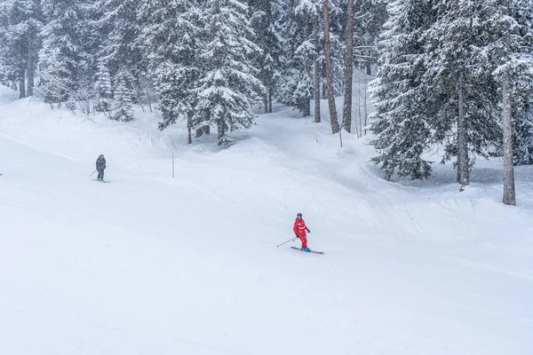 Skiinstructeur Skiër Het Franse Skigebied Berg Skiën Zware Sneeuw Hoogwaardige — Stockfoto