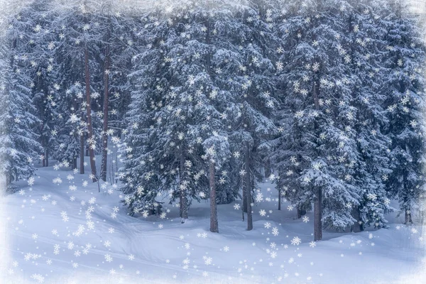 Boże Narodzenie Nowy Rok Tle Jodłami Śnieżnymi Obfite Opady Śniegu — Zdjęcie stockowe