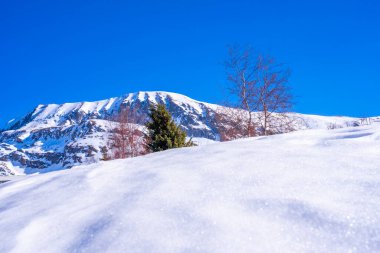Kışın karlı dağ. Dağlarda kış tatili kavramı. Güzel bir kış geçmişi var. Yüksek kalite fotoğraf
