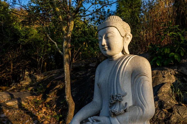 White Meditating Buddha Statue Sits Rock Pile Forest Trees Afternoon — 스톡 사진