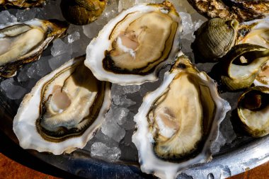 Taze istiridye ve buzlu limon tabağı. Yüksek kalite fotoğraf