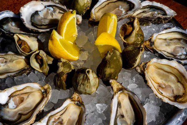 stock image Fresh oysters and whelk platter with lemon on the ice. High quality photo