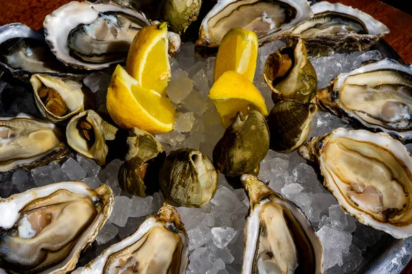 Stock image Fresh oysters and whelk platter with lemon on the ice. High quality photo