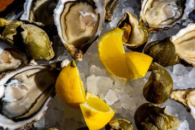 Taze istiridye ve buzlu limon tabağı. Yüksek kalite fotoğraf