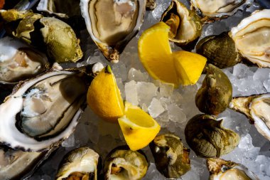 Taze istiridye ve buzlu limon tabağı. Yüksek kalite fotoğraf